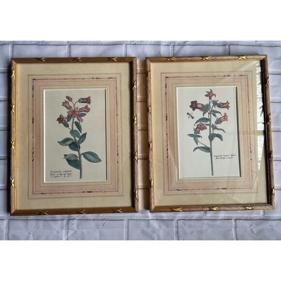 Vintage Designed Exclusively JC Penny Floral Framed Prints Wall Art #7-72-2341 - Picture 1 of 8